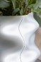 LOLA_ICY_WHITE_SEAM.jpg