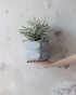 SOAP_BLENDER_GREY_3.jpg
